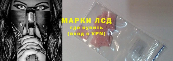 гашик Алексин