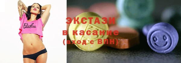 гашик Алексин