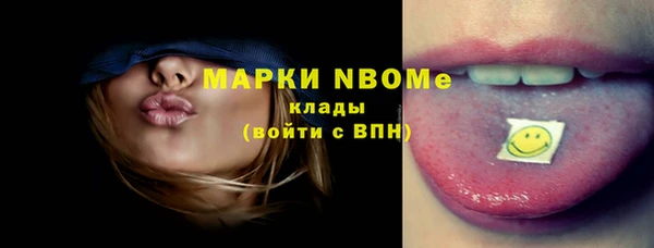 гашик Алексин