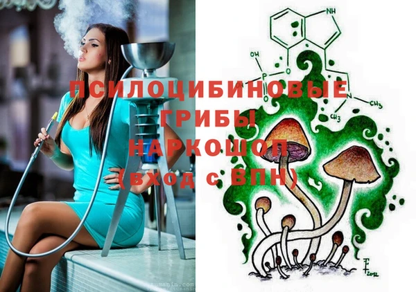 СК Абаза